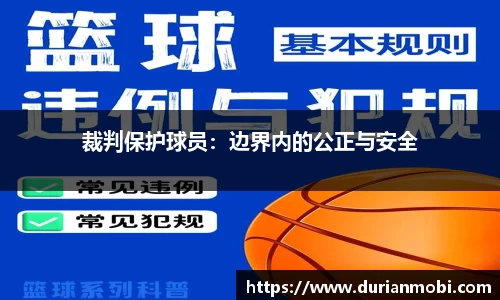 裁判保护球员：边界内的公正与安全